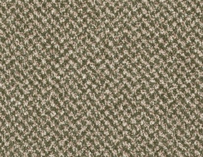 Ковролин AW Stainaway Tweed (Стейнавей Твид) 24 .